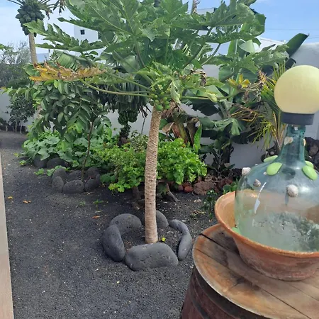 Appartement Vistas *